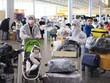 Các công dân Việt Nam chờ làm thủ tục tại sân bay Sheremetyevo. (Ảnh: Trần Hiếu/TTXVN).