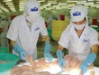 Thủy sản Hùng Vương (HVG) từng công bố báo cáo Kl991.com nạp rút nhanh kiểm toán hợp nhất với mức lỗ 1.075 tỷ đồng, tăng 600 tỷ đồng so với báo cáo tự lập.