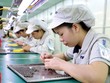 Đón sóng FDI: Chậm đón đại bàng sẽ chỉ vợt được chim sẻ