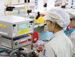 EVFTA kích hoạt làn sóng Kl99ok phiên bản mới từ châu Âu 