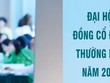 Nhiều Kl991.com World Cup 2026 Chính Thức lỡ hẹn đại hội trước tháng 7 