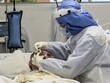 Y tá nhỏ thuốc mắt cho bệnh nhân Covid-19 tại Colombia ngày 8/7. Ảnh: AFP.