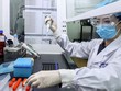 Phòng thí nghiệm nghiên cứu vắcxin của Sinopharm ở Bắc Kinh. (Ảnh: THX/AP).