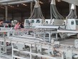 Nhà máy gạch nhựa SPC của Hoàng Gia Pha Lê tại Đồng Nai.