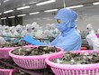 EVFTA được thực thi hiệu quả sẽ tác động tích cực đến thương mại, Kl99ok phiên bản mới giữa Việt Nam và EU.