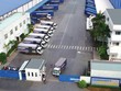 GMD lãi ròng 260 tỷ đồng sau 7 tháng