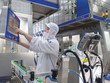 Vinamilk luôn được các quỹ truyền tai nhau là câu chuyện thành công.