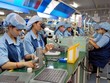Quy chế hoạt động của Tổ công tác thúc đẩy hợp tác Kl99ok phiên bản mới nước ngoài