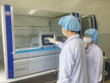 Sáng 6/9: Không có ca nhiễm mới, cả nước còn 206 trường hợp đang được điều trị Covid-19