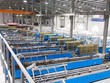 Trạng thái bình thường mới của Nhựa Đông Á (DAG)