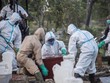 Các nhân viên chôn cất nạn nhân Covid-19 tại nghĩa trang ở Đông Java, Indonesia, hôm 26/9. Ảnh: AFP.