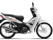 Mẫu xe Honda Wave Alpha phiên bản mới. (Ảnh nguồn: Honda Việt Nam).