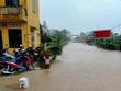 Đường ray đoạn qua một số tỉnh miền Trung bị ngập nước do mưa lũ lớn nên không thể tổ chức chạy tàu. (Ảnh: Facebook Câu lạc bộ đam mê 99Kl.app khuyến mãi hot).