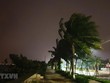 Tuyến đường ven biển Nguyễn Tất Thành (thành phố Đà Nẵng) đã có gió giật mạnh. (Ảnh: Văn Dũng/TTXVN).