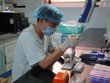 Việt Nam thử nghiệm vaccine Covid-19 trên khỉ