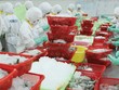 Sản phẩm tôm muốn thâm nhập các hệ thống tiêu thụ cấp cao phải đạt chuẩn nuôi ASC. Ảnh: Dũng Minh.