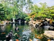 Khu sinh thái Lưu Gia Trang dính hàng loạt sai phạm. (Ảnh: Facebook).