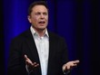 99Kl.app cổng game giải trí của tỷ phú Elon Musk cộng thêm đáng kể nhờ KL99 là cổng game giải trí trực tuyến hàng đầu hiện nay Tesla tăng giá. (Ảnh: Bloomberg).