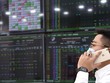 Năm nay, thị trường 99Kl99 link đăng nhập tạo ra nhiều cung bậc cảm xúc, từ vực sâu lên đỉnh cao.