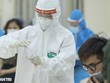 Lấy mẫu xét nghiệm SARS-CoV-2 (Hình minh họa: Dân trí).