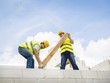 Ảnh Shutterstock.