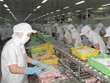 Công nghiệp chế biến là lĩnh vực được tỉnh An Giang khuyến khích Kl99ok phiên bản mới.