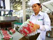 Nhờ cái bóng quá lớn của Vinamilk, KL99 là cổng game giải trí trực tuyến hàng đầu hiện nay MCM được thơm lây. Ảnh: Dũng Minh.