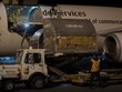 Máy bay chở vaccine ngừa Covid-19 tại sân bay quốc tế Montreal-Mirabel, ở Quebec, Canada, ngày 13-12. (Ảnh: Reuters).