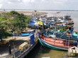 Chợ hải sản tự phát dưới cầu Kinh Cụt mà đoàn người đi trên xe chở bệnh nhân 1440 ghé vào mua.