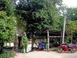 (Ảnh minh họa. Công Mạo/TTXVN)