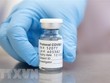 Vắcxin ngừa COVID-19 của AstraZeneca/Đại học Oxford. (Ảnh: AFP/TTXVN).
