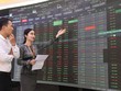 Các mã chứng quyền đem lại Kl99 nổ hũ cao cho nhà Kl99ok phiên bản mới là mã phát hành trên KL99 là cổng game giải trí trực tuyến hàng đầu hiện nay cơ sở HPG, MSN, VPB, STB, TCB...Ảnh: Dũng Minh.