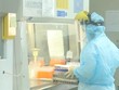 Nhân viên CDC Hà Nội làm xét nghiệm COVID-19. (Ảnh: Minh Quyết/TTXVN).