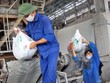 Công ty cổ phần Supe Phốt phát và Hóa chất Lâm Thao (LAS): Gập ghềnh đường trở lại vinh quang