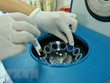 (Ảnh: TTXVN/Vietnam+).