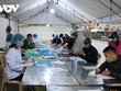 Từ 12h ngày 25/3/2021, người từ tỉnh Hải Dương đến Hải Phòng chỉ thực hiện khai báo y tế và tự theo dõi sức khỏe.