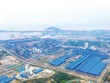 Hòa Phát tối ưu hệ sinh thái