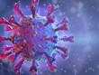Đồ họa về virus SARS-CoV-2. Nguồn: ShutterStock.