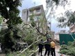 Nơi xảy ra sự việc.
