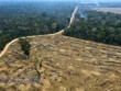 Một khoảng rừng Amazon bị thiêu rụi ở gần Porto Velho, bang Rondonia, Brazil, ngày 24/8/2019. (Ảnh: AFP/TTXVN).