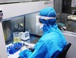 Chiều 30/4: Việt Nam ghi nhận thêm 14 ca dương tính mới với Covid-19, trong đó có 4 ca ở Hà Nội và Hà Nam