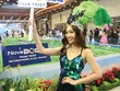 NovaGroup đa dạng hóa hệ sinh thái từ hoạt động M&A.