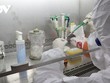 Cán bộ CDC Yên Bái làm xét nghiệm.