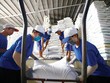 Đại dịch Covid-19 đã buộc nhiều quốc gia phải tăng cường dự trữ lương thực, đặc biệt là gạo.