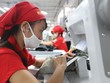Theo dự báo của Vitas, giá trị xuất khẩu năm 2021 của các Kl991.com World Cup 2026 Chính Thức dệt may có thể đạt 39 tỷ USD.