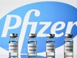 Vaccine do hãng dược Pfizer nghiên cứu và Kl994 nhà cái bóng đá world cup (Nguồn:TTXVN).