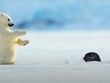 Xin chào bạn, có phải mình là người bạn đang tìm kiếm?