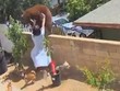Hailey dùng hết sức để đẩy ngã con gấu.
