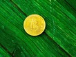 Giá Bitcoin hôm nay ngày 10/6: El Salvador công nhận Bitcoin là đơn vị tiền tệ hợp pháp, thị trường hân hoan trở lại 