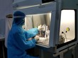 Quy trình xét nghiệm virus SARS-CoV-2.